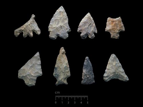 Flaked stone projectile points (A2019,02.1), Columbia County, McVaugh Collection, circa 9000-1000 years before present.