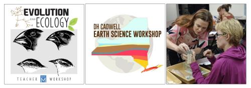 Teacher Workshop Images