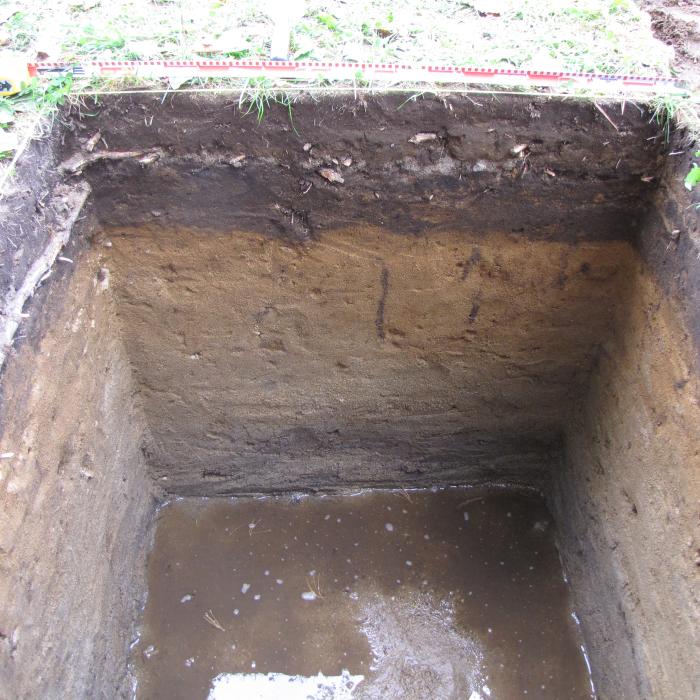 Typical profile from the Million Dollar Beach Site