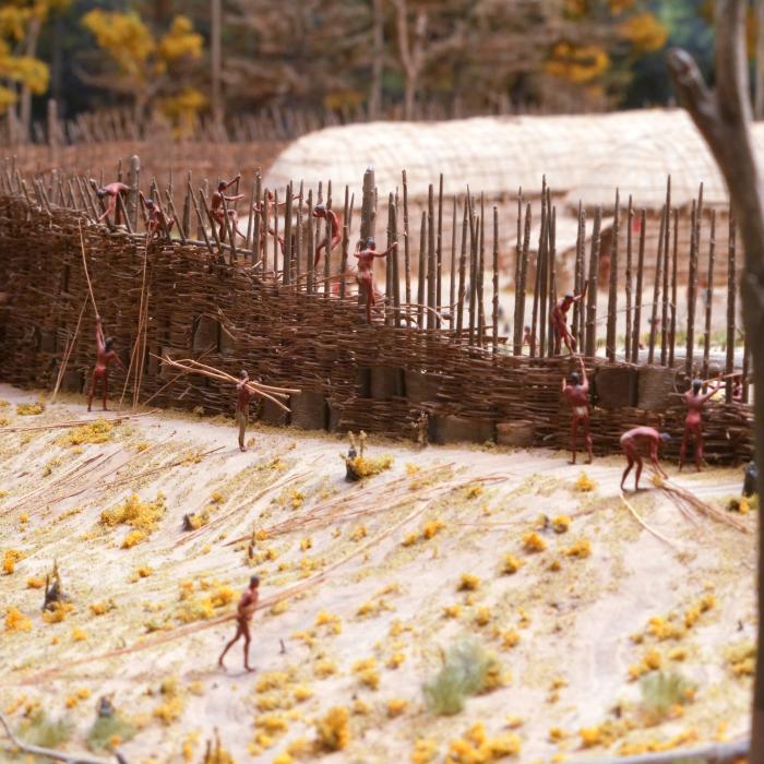 Haudenosaunee Village Model - Construction of the Palisade