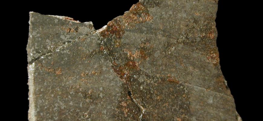 mineral in the collection