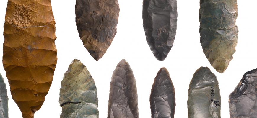 Arrowhead variety 