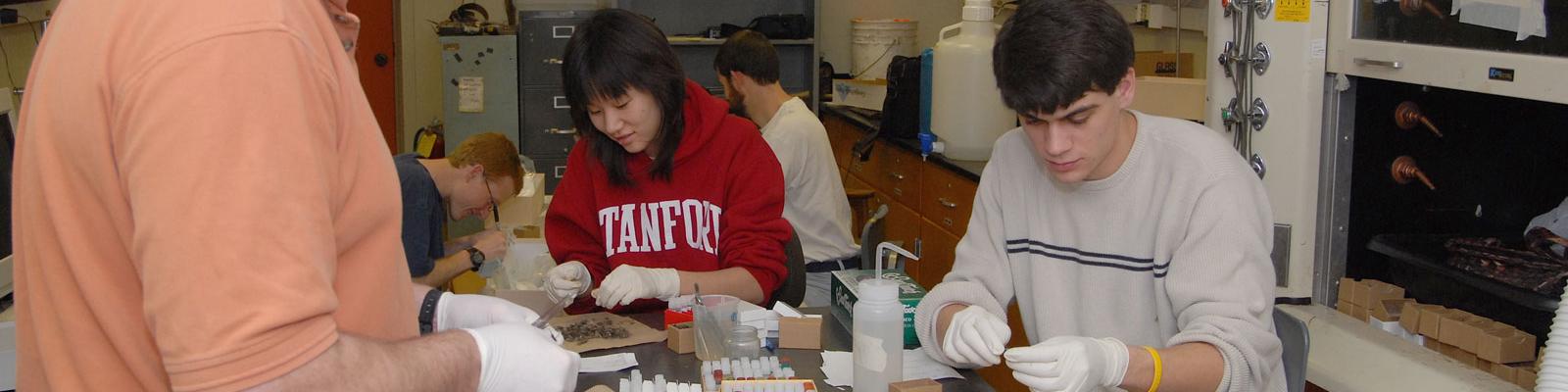 Students in the bio lab preparing specimens 