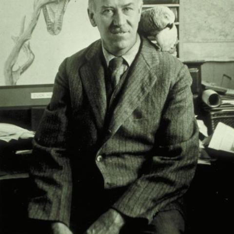 fuertes-fromcornell_0.jpg
