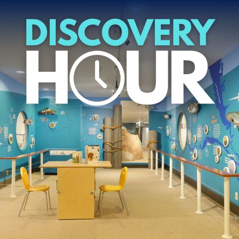 Title text over photo of the NYSM's Discovery Place