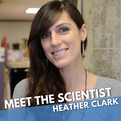 portrait of heather clark