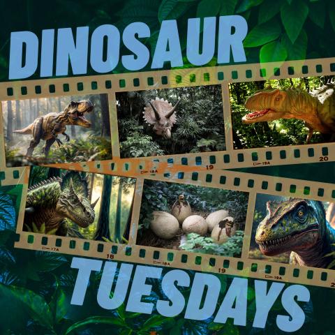 Dinosaur Tuesdays title text over images of film strips displaying different dinosaurs