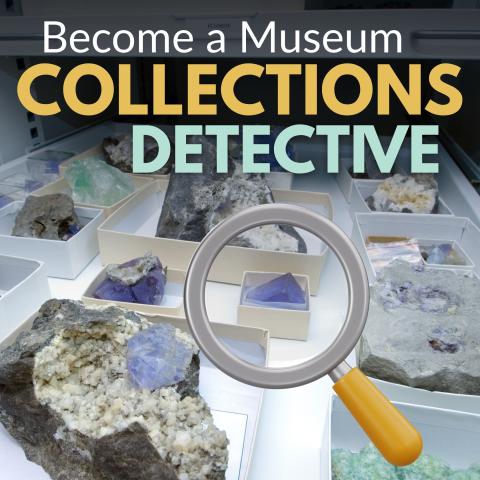 Become a Musuem Collections Detective title text over a photo of a collection of minerals and a magnifying glass