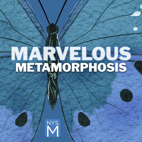 Marvelous Metamorphosis title text over watercolor image of a butterfly with blue wings with black spots