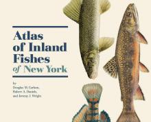 Fish Atlas