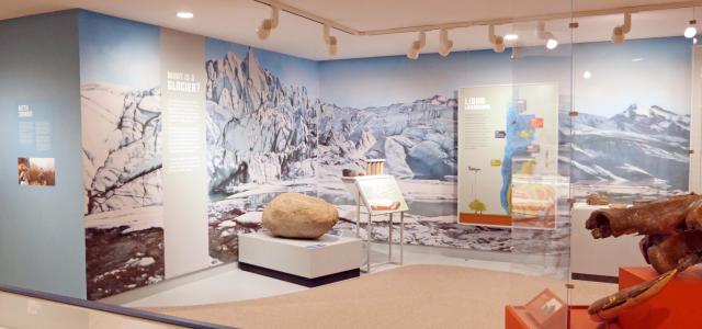 NYSM Ice Ages Glacier Gallery View