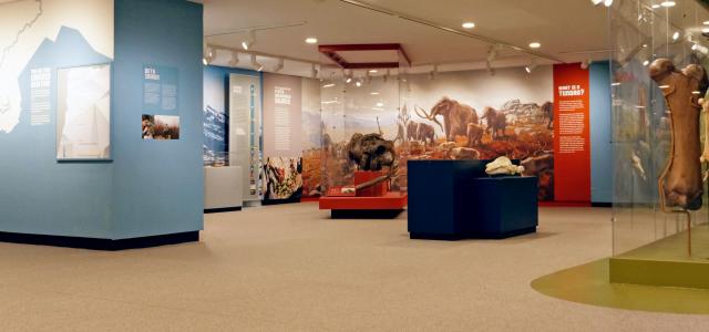 NYSM Ice Ages Gallery View