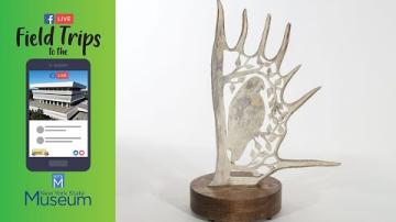 Field Trip to the NYSM: Artist interview - Hayden Haynes on the Art of Antler Carving