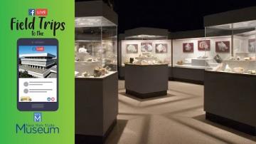 Field Trip to the NYSM: Minerals of NY Gallery Tour