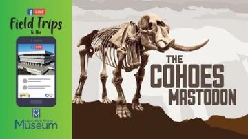 Field Trip to the NYSM: A Closer Look at the Cohoes Mastodon