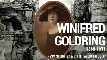 Winifred Goldring (1888-1971) - NYSM Scientist & State Paleontologist