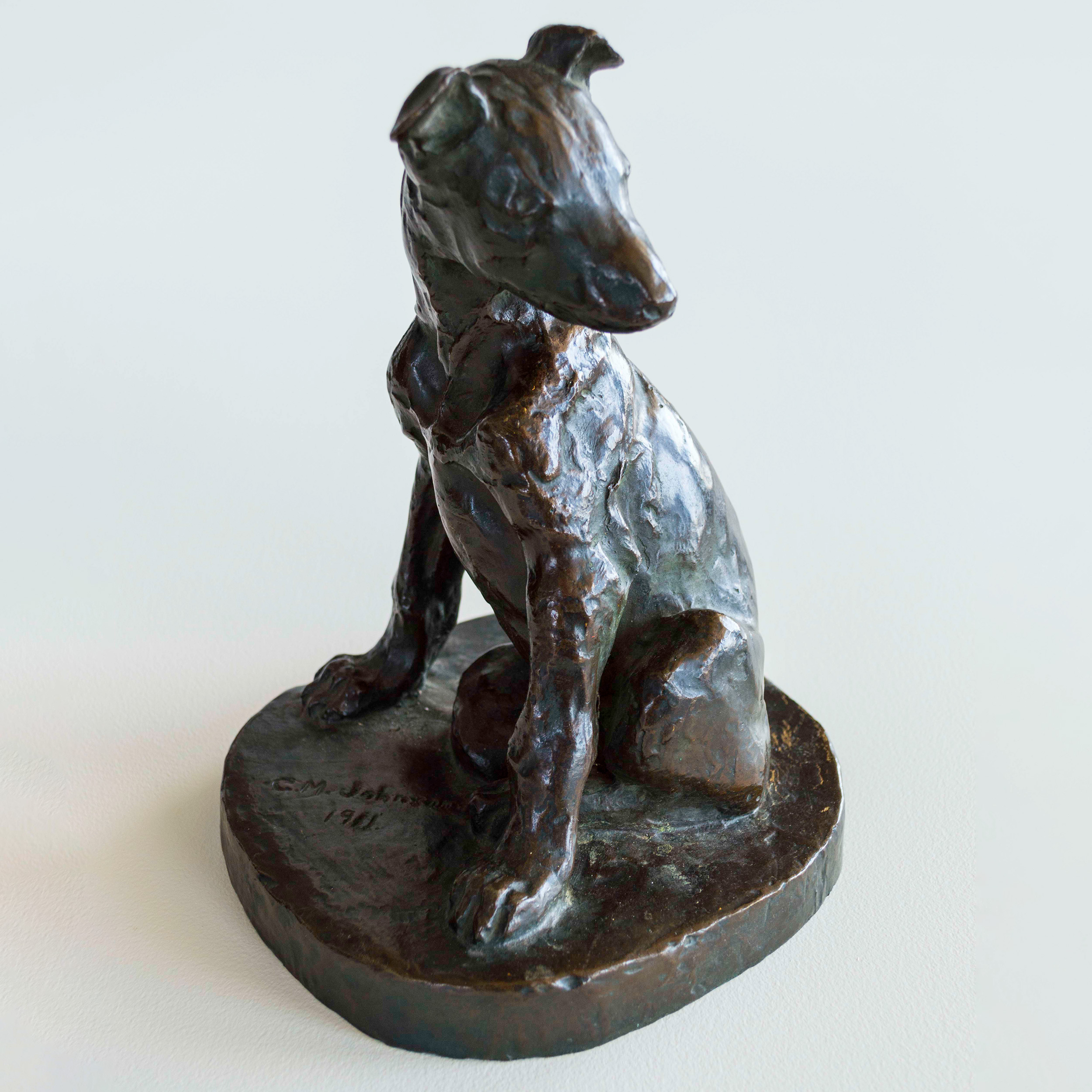 Young Greyhound
